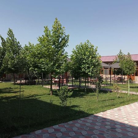 Seki Qonaq Evi Motel Bagian luar foto
